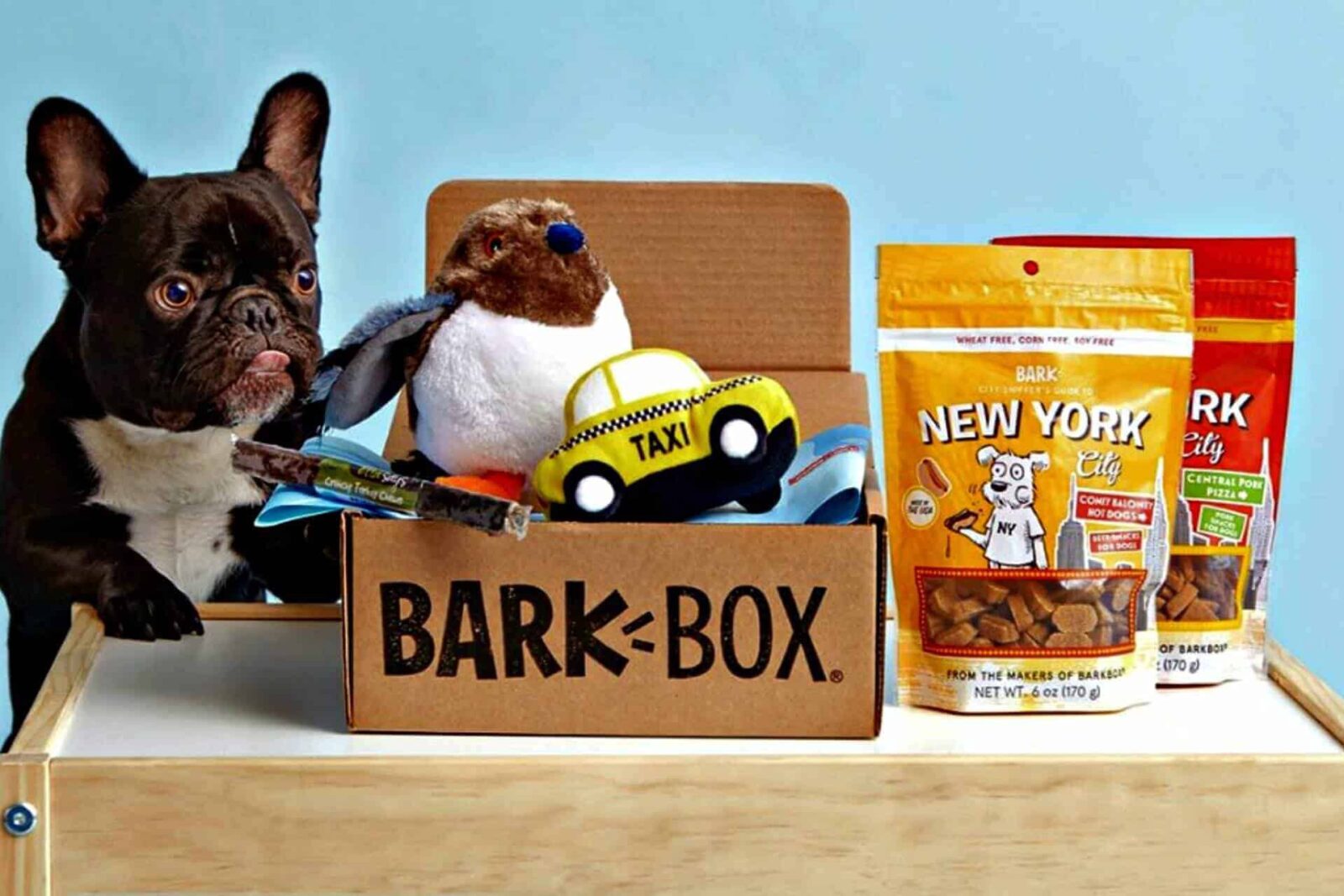 barkbox contents