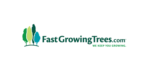 Fast Growing Trees Featured Image